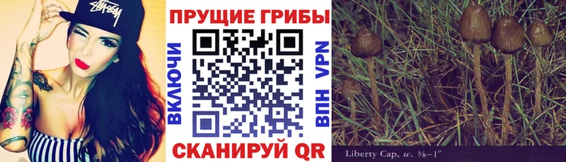 МЕГА сайт  что такое   Инза  Галлюциногенные грибы мицелий 